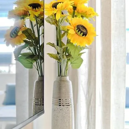 Perla Del Mar Apartment